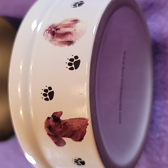 0774. BowWowMeow's Ceramic Decorative Bowl for Small Pet Dogs ~ So classy & Cute - Picture 4 of 7